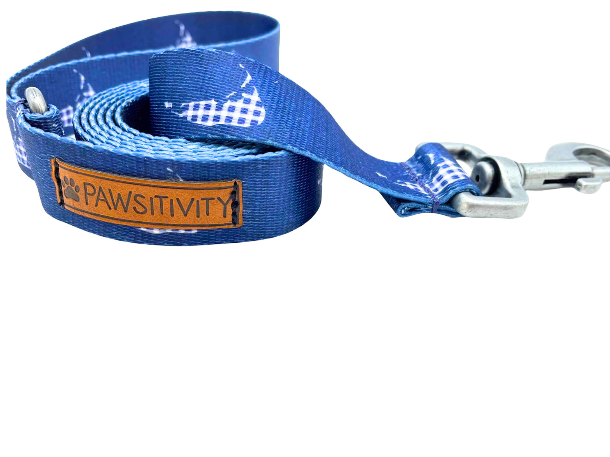 Nantucket with Navy Gingham Islands Leash