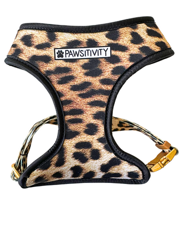 Red Vail Sport Cross Collar