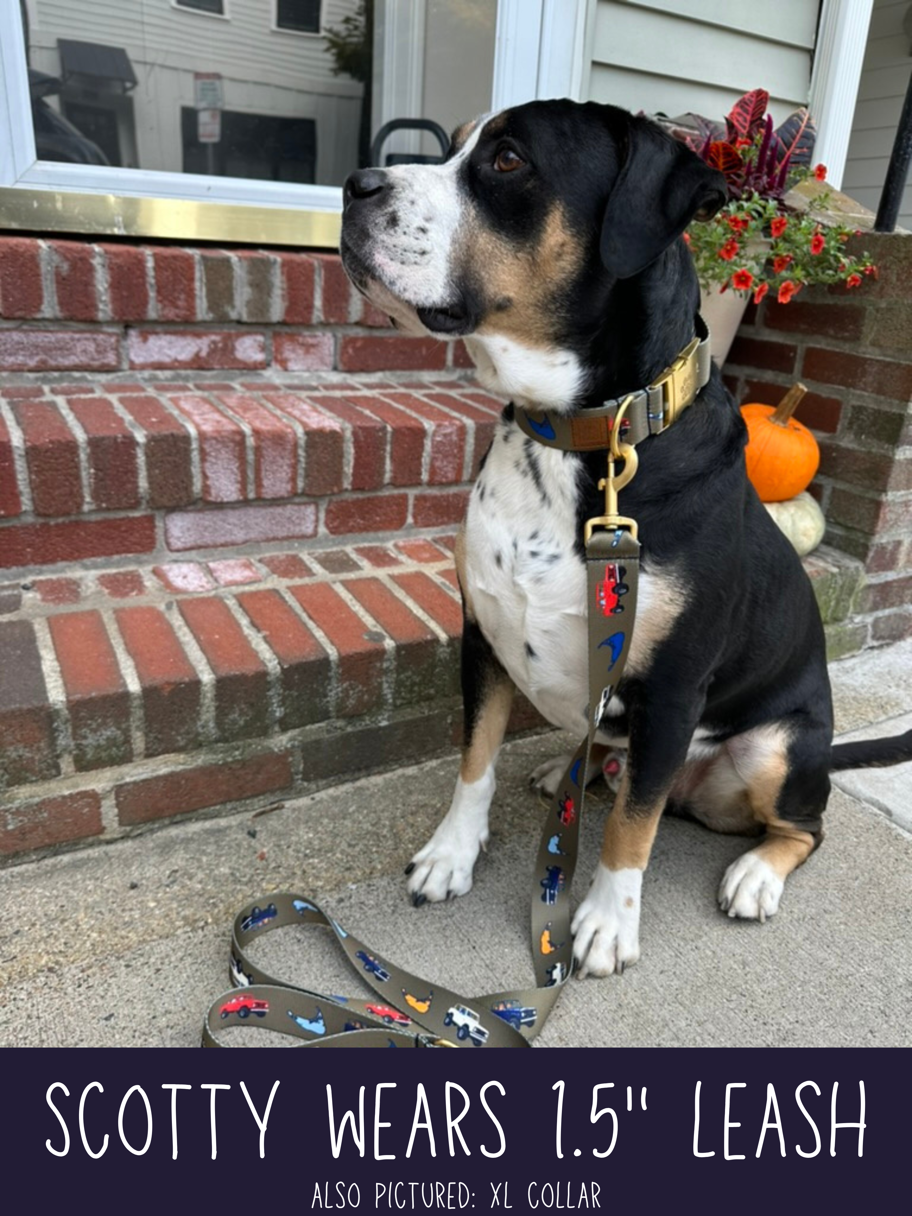 22K Olive Vintage Truck Leash