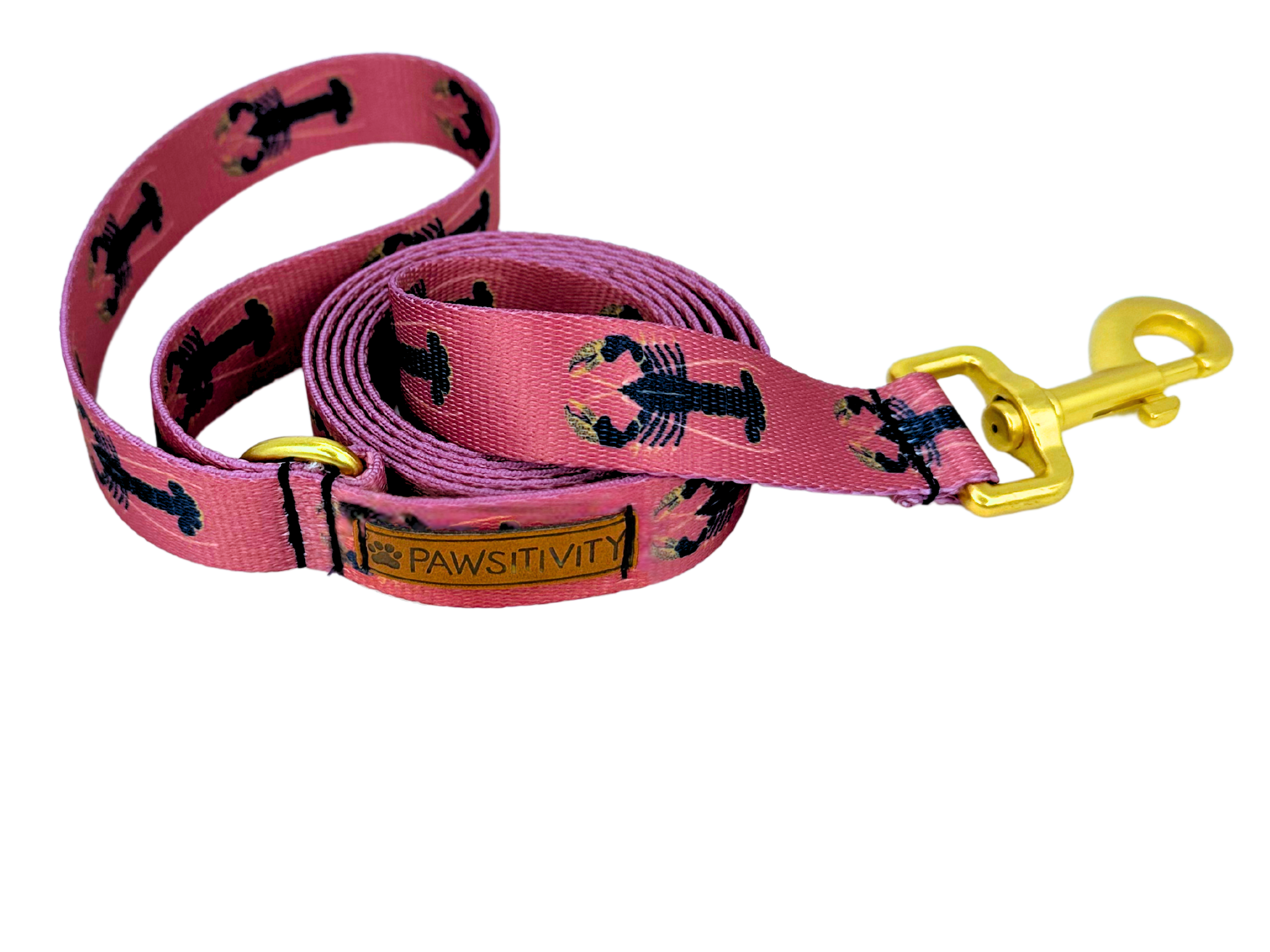 22k Painted Lobster Leash