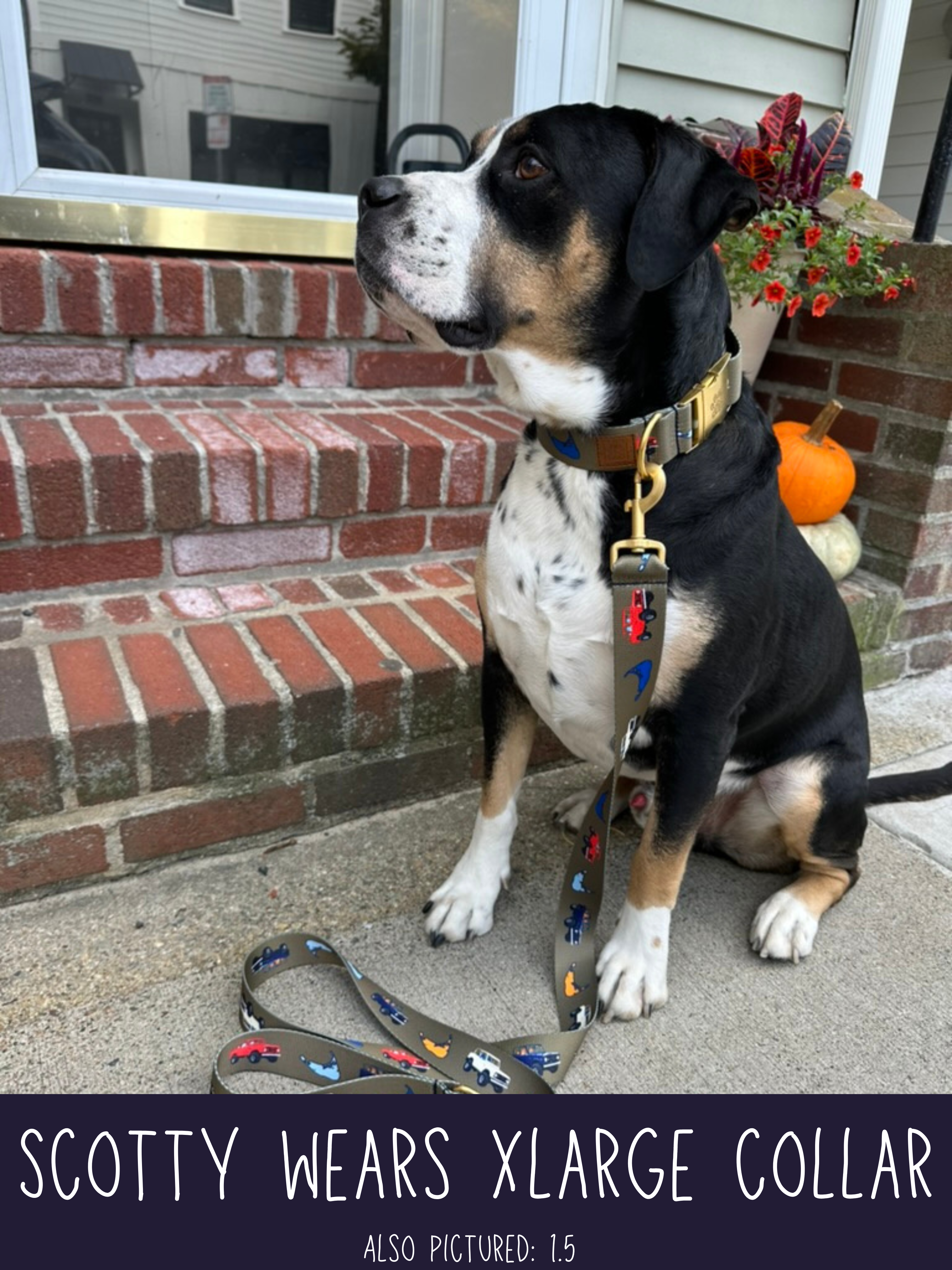Olive Vintage Truck 22K Gold Collar