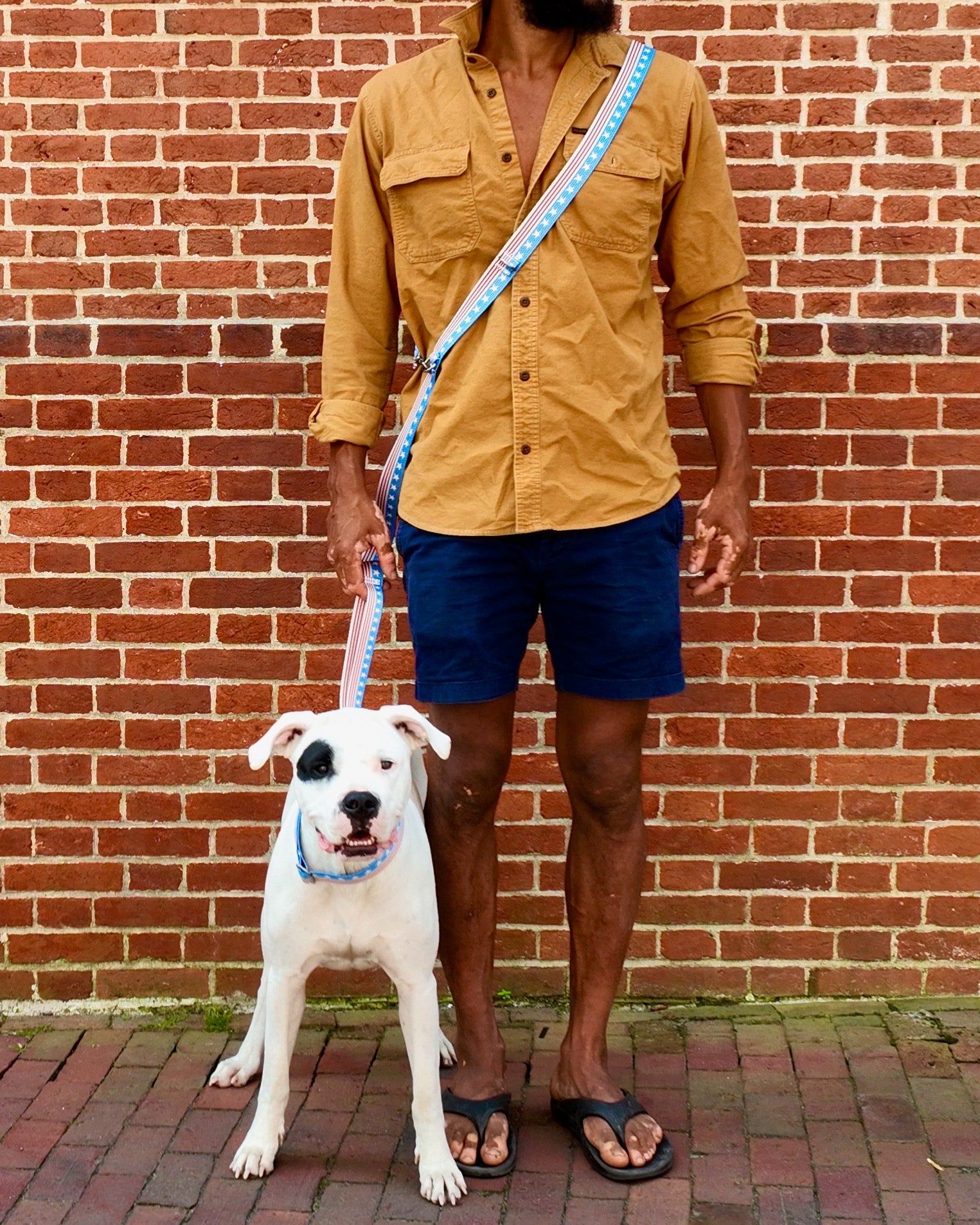 Cross Body / Hands Free / Running Leash (Click For Additional Print Options) - Matte Black Hardware