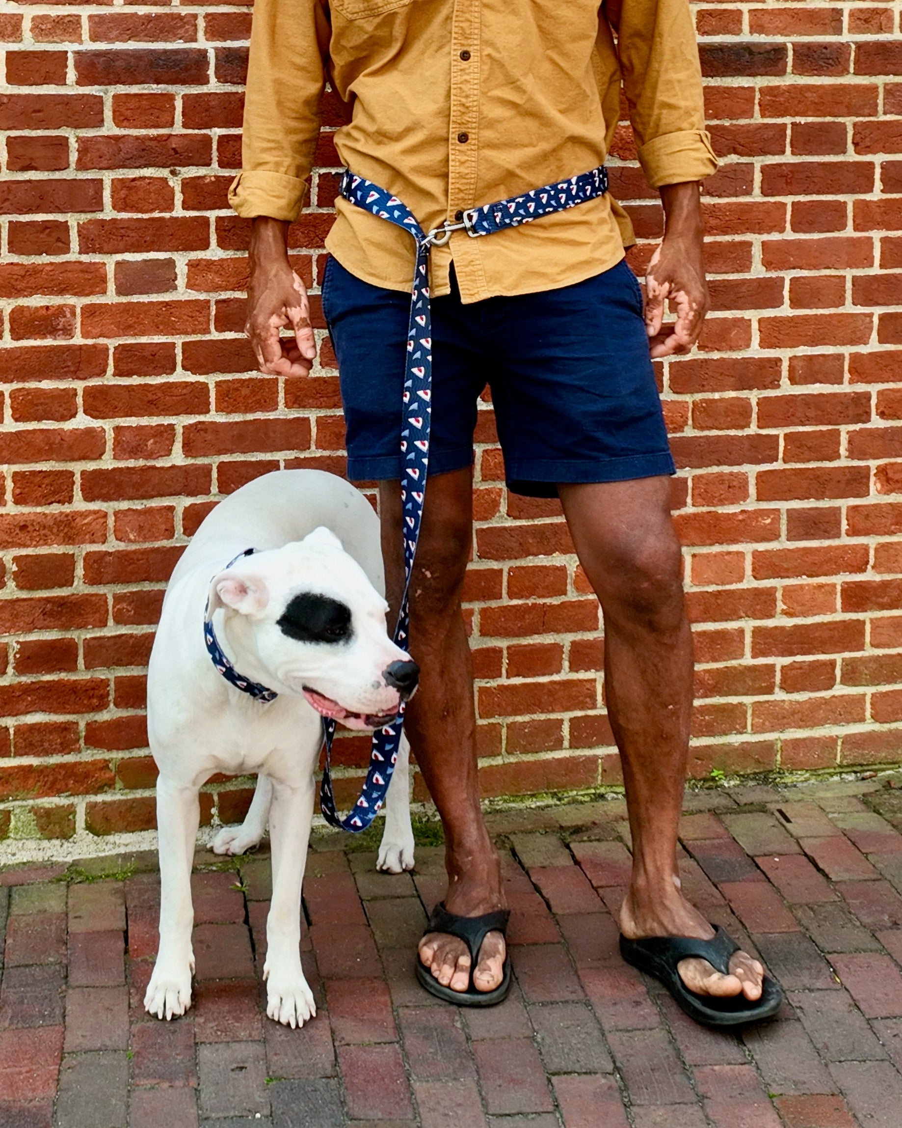 Cross Body / Hands Free / Running Leash (Click For Additional Print Options) - Silver Hardware