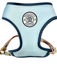 Vintage Truck Island - Baby Blue Reversible Harness
