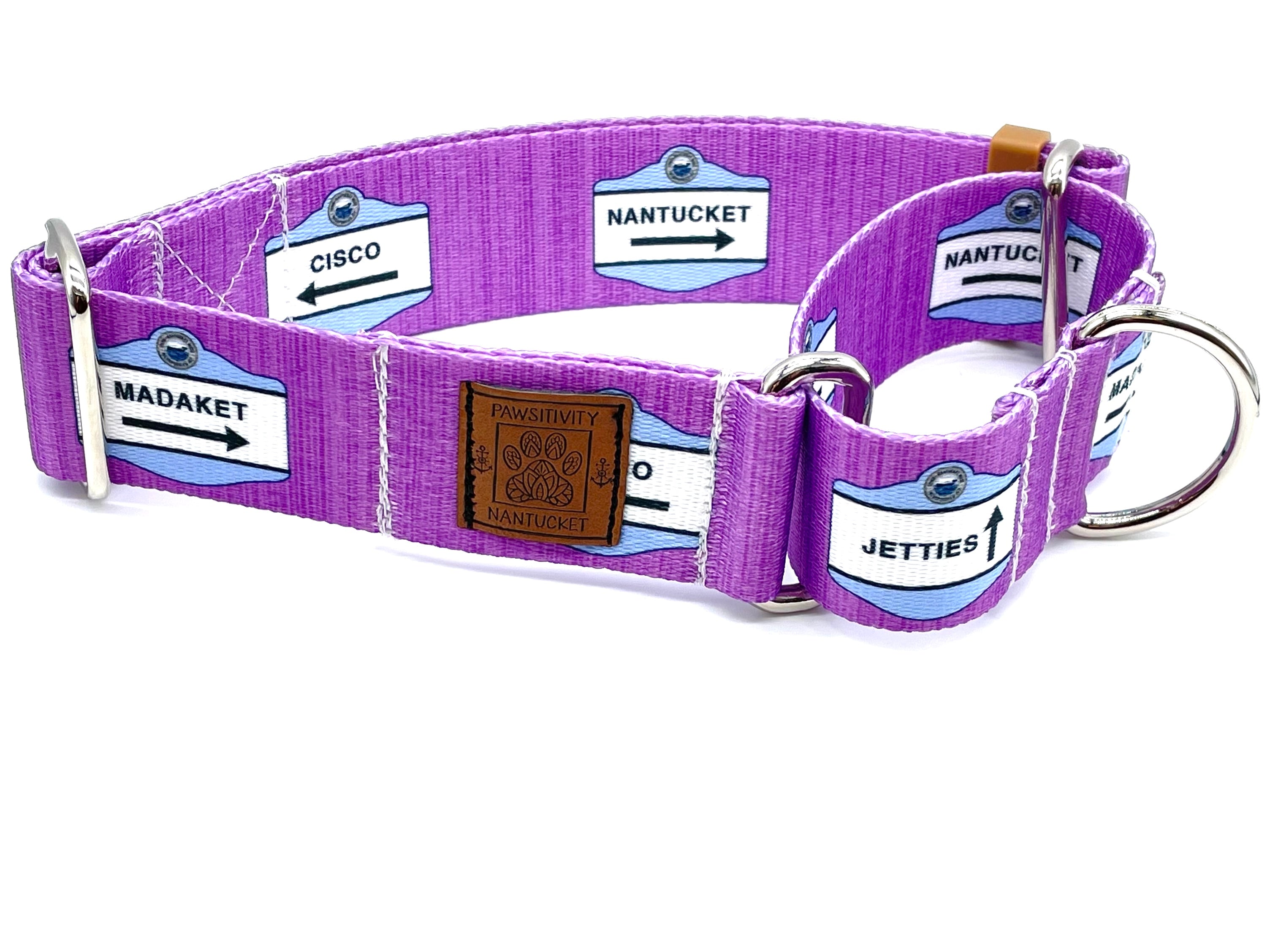 Nantucket Beach Signs Purple Martingale Collar