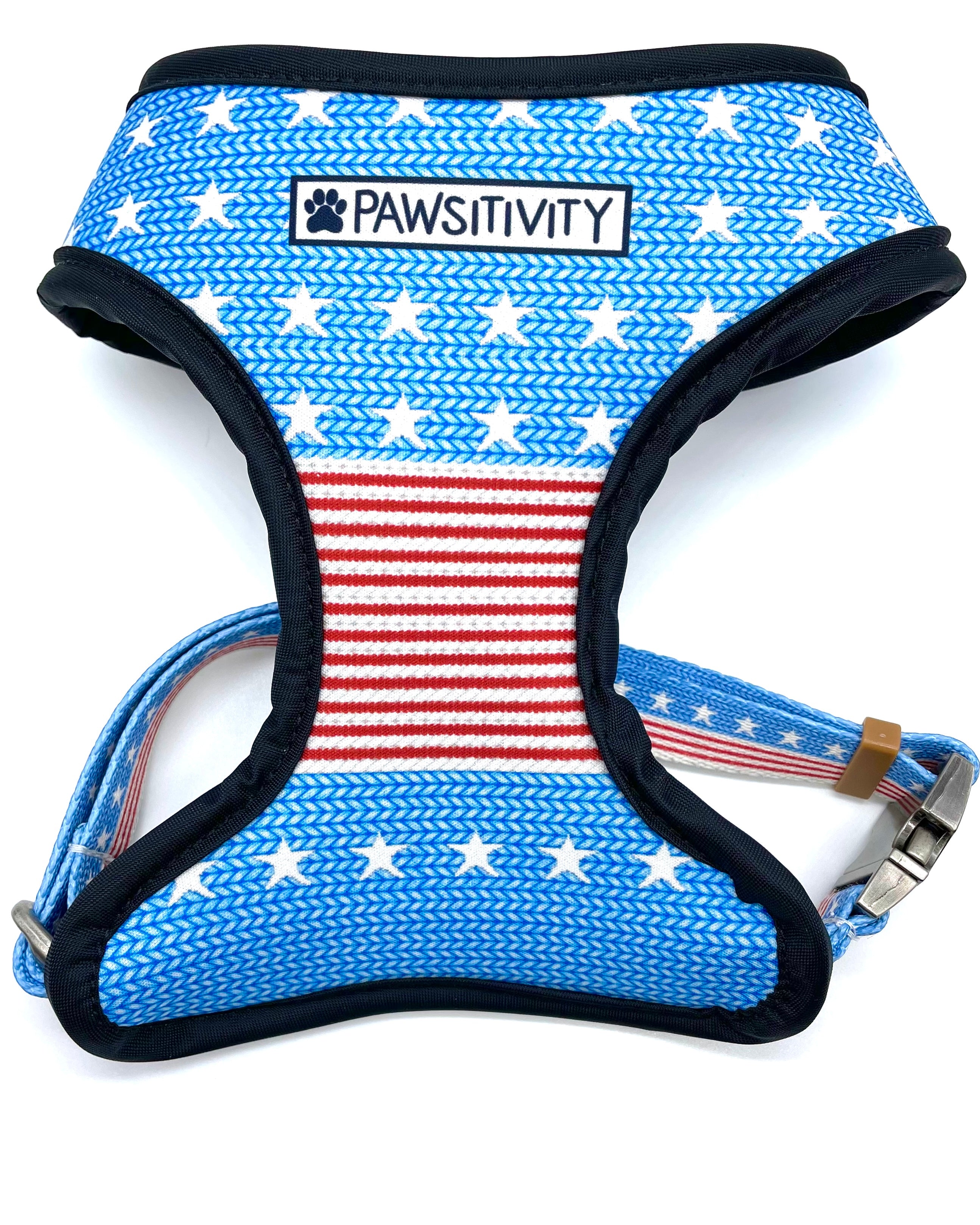 American Flag