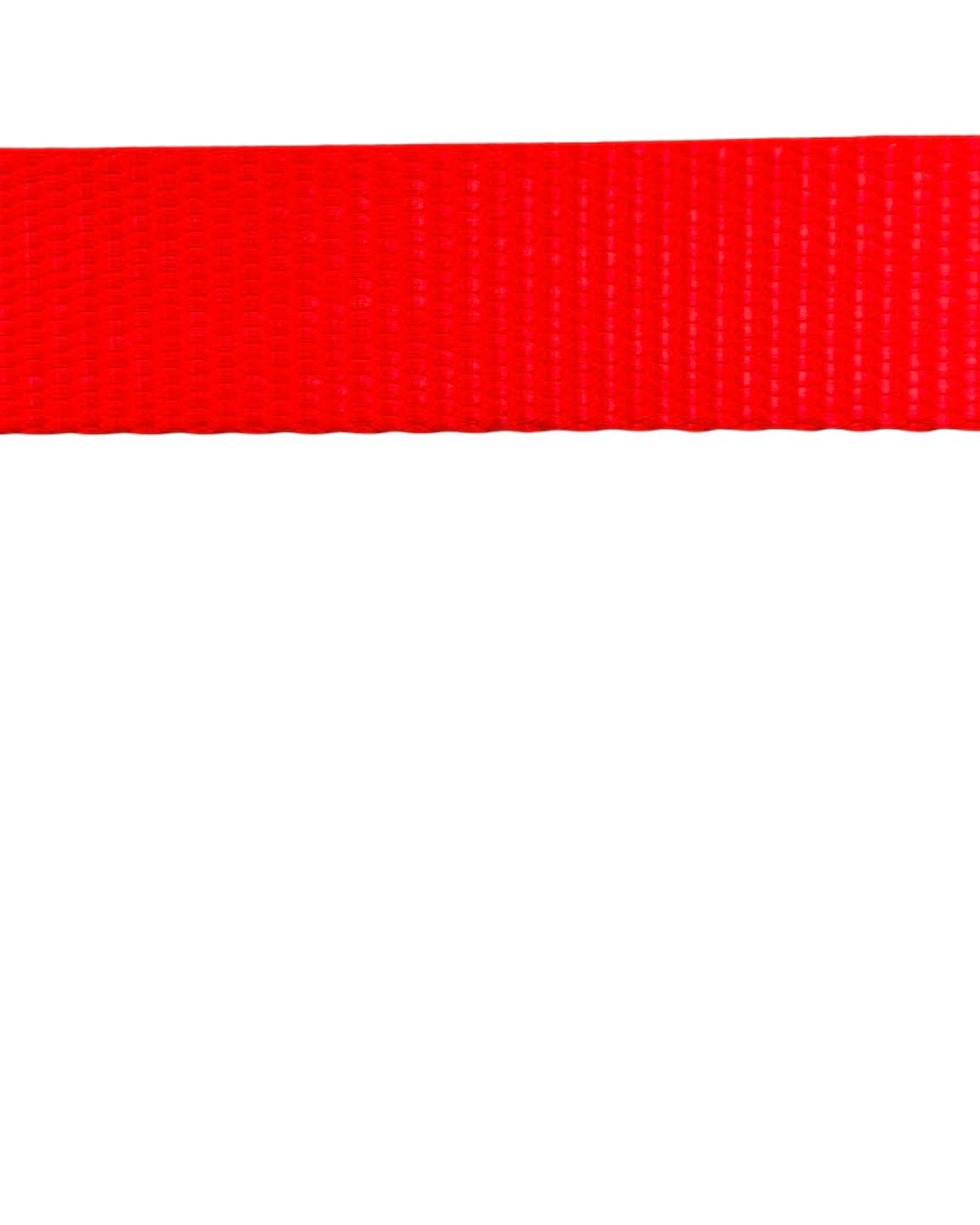 Hunter Orange Leash