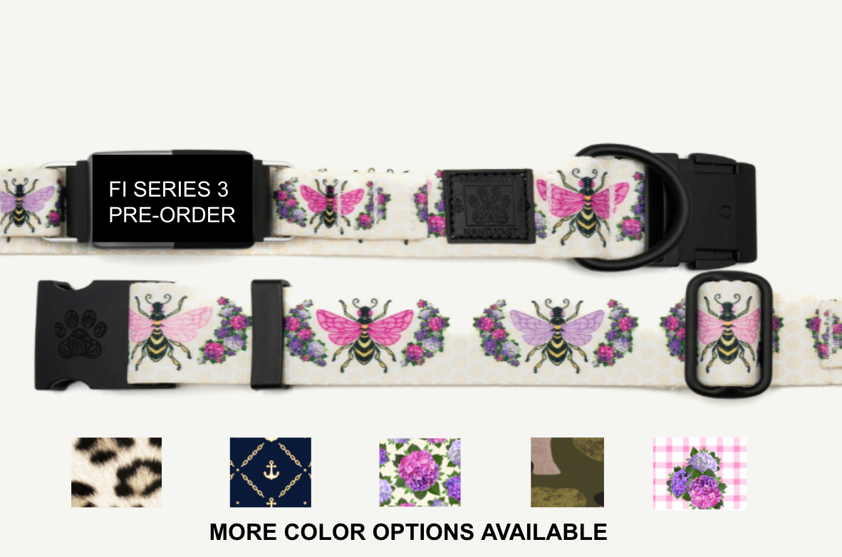 Fi Series 3 Compatible Collar - PREORDER Silver Hardware