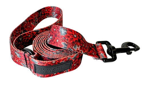 Holiday Floral Leash