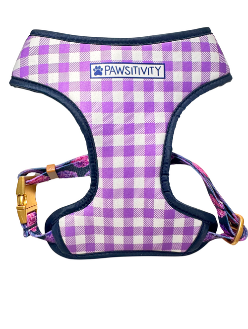 22K Gold Midnight Hydrangea - Lavender Gingham Reversible Harness