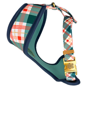 22K Gold Stroll Plaid Reversible Harness
