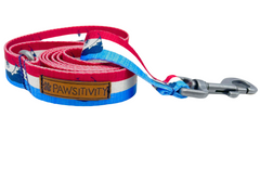 Nantucket Red White Blue Islands Leash