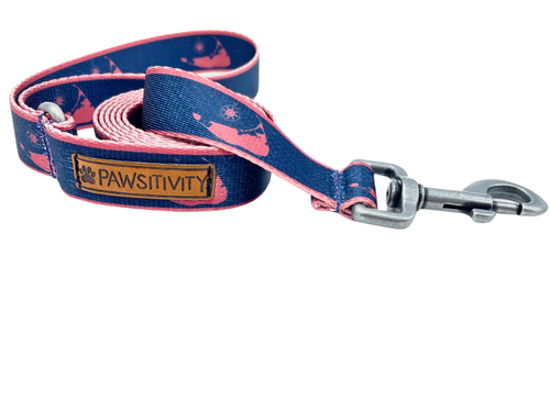 Navy With Nantucket Red Islands Leash