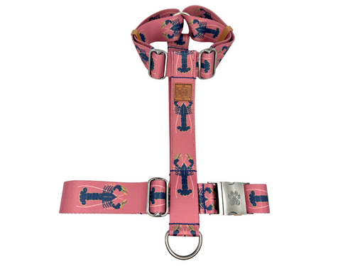 Painted Lobster Strap Harness