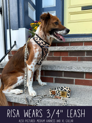 22K Leopard Leash