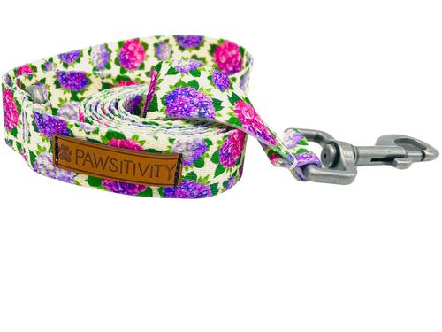 Nantucket Hydrangeas Leash