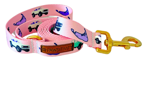 22K Pink Vintage Truck Leash