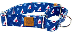 Sharks Martingale Collar