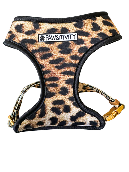 22K Gold Leopard - Leopard Cats Reversible Harness