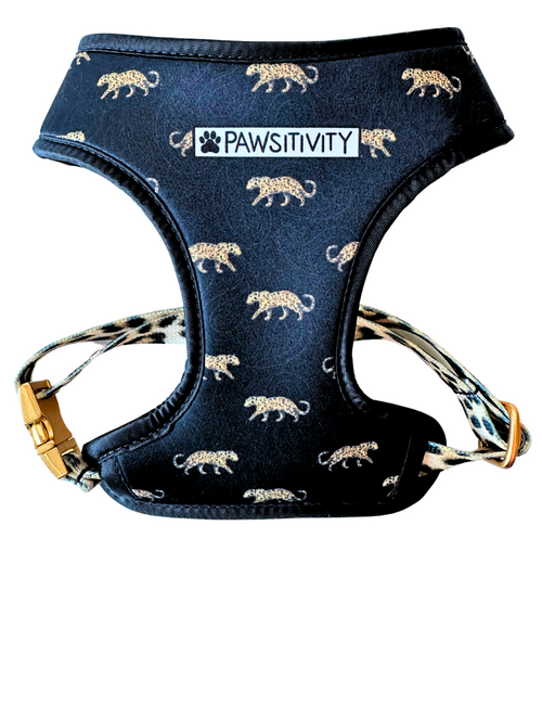 22K Gold Leopard - Leopard Cats Reversible Harness