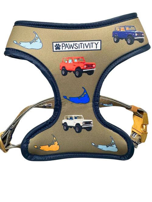 22K Gold Olive Vintage Truck - Baby Blue Reversible Harness