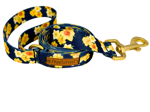 22k Navy Daffodils Leash