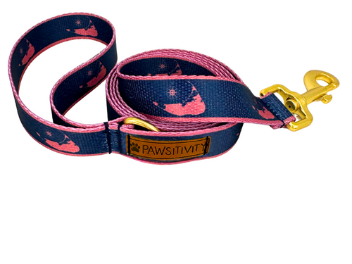 22k Navy with Nantucket Red Islands Leash