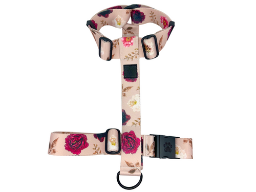 Desert Floral Strap Harness