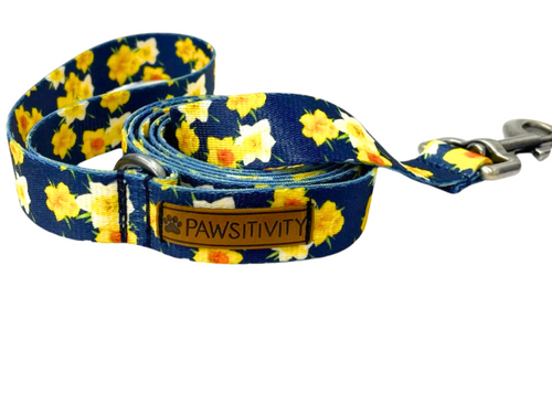 Navy Daffodils Leash - Limited Edition!