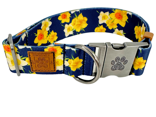 Navy Daffodils Champagne Collar - Limited Edition!