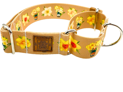 NANTUCKET DAFFODILS CHAMPAGNE MARTINGALE COLLAR - LIMITED EDITION!