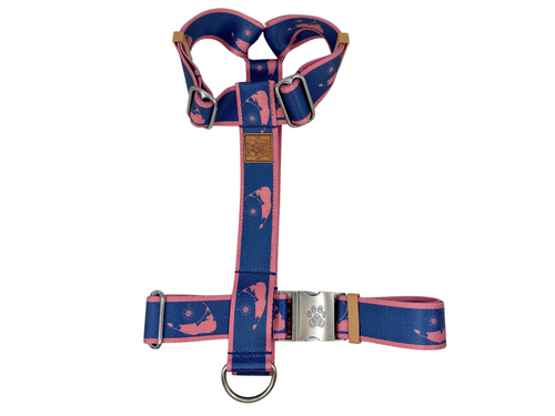 Navy with Nantucket Red Islands Strap Harness