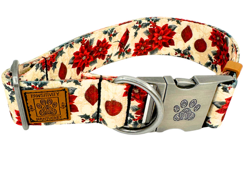 Holiday Cardinal Paisley Collar