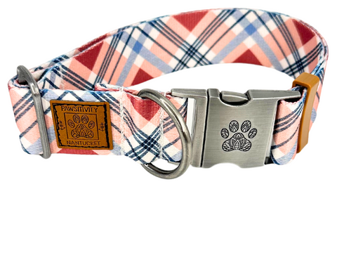 Nantucket with Navy Gingham Islands Leash