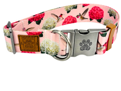 Hummingbird Hydrangea Collar