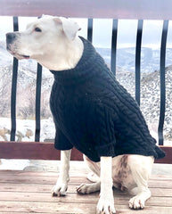 Hand Knit Dog Sweater