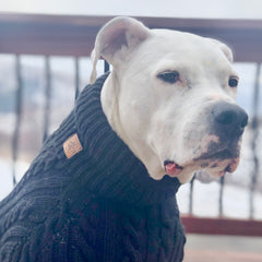 Holiday Hand Knit Dog Sweater