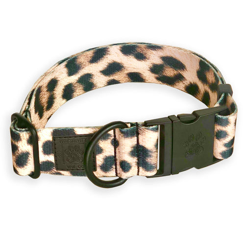 Matte Black 1.5" Statement Leopard Collar