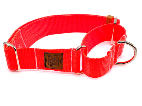 Navy With Nantucket Red Islands Martingale Collar