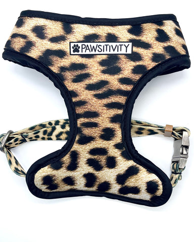 Leopard Collar