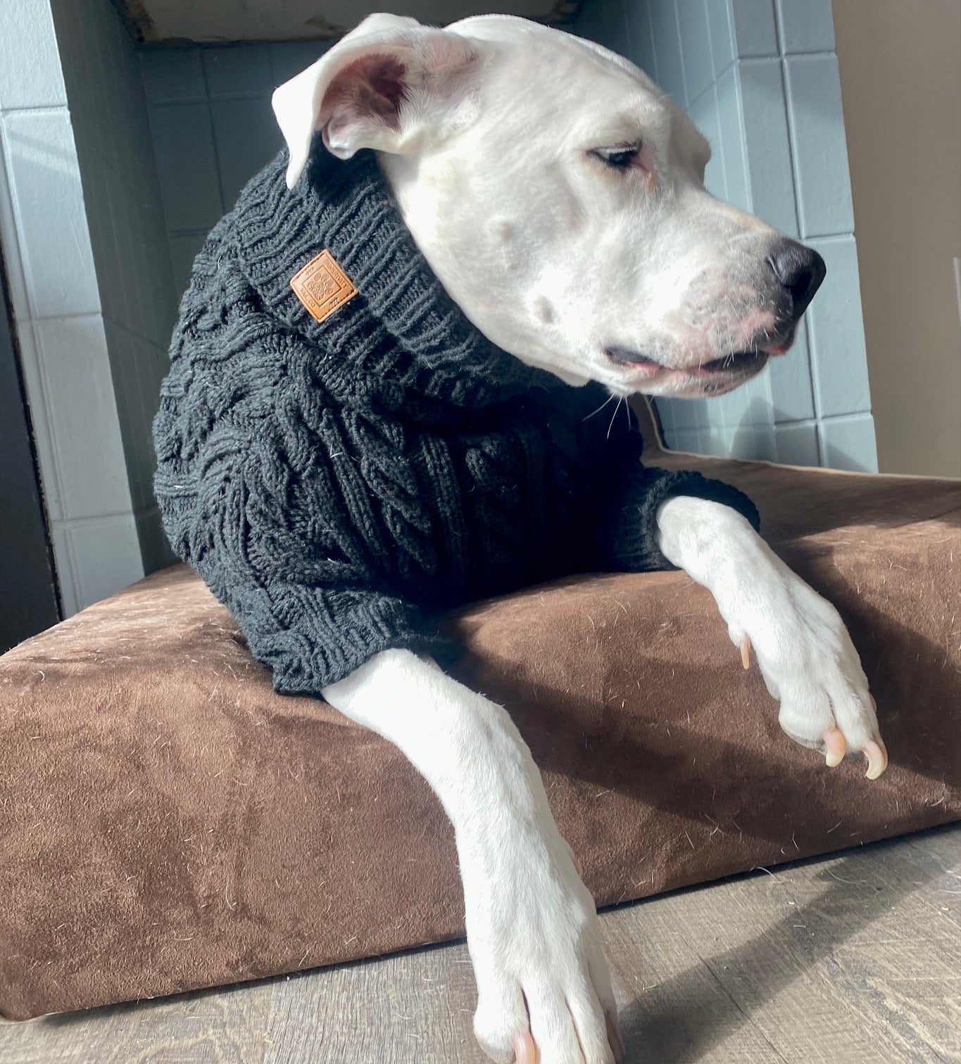 Hand Knit Dog Sweater