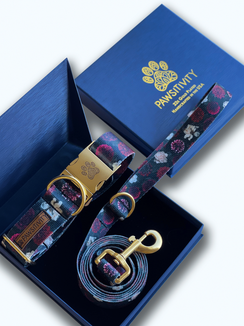 22K Gold Midnight Floral Leash & Collar Set