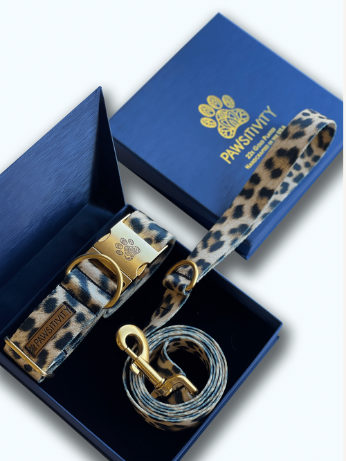 22K Gold Leopard Leash & Collar Set
