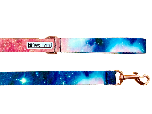 Pawsitivity Color Burst Galaxy Leash